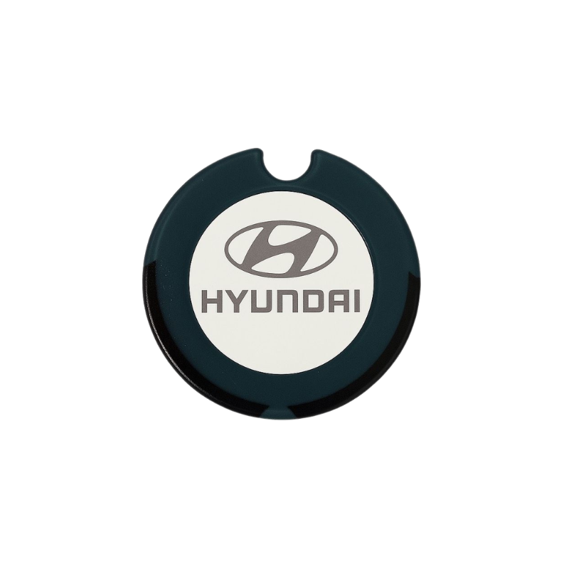 Licence disc Hyundai
